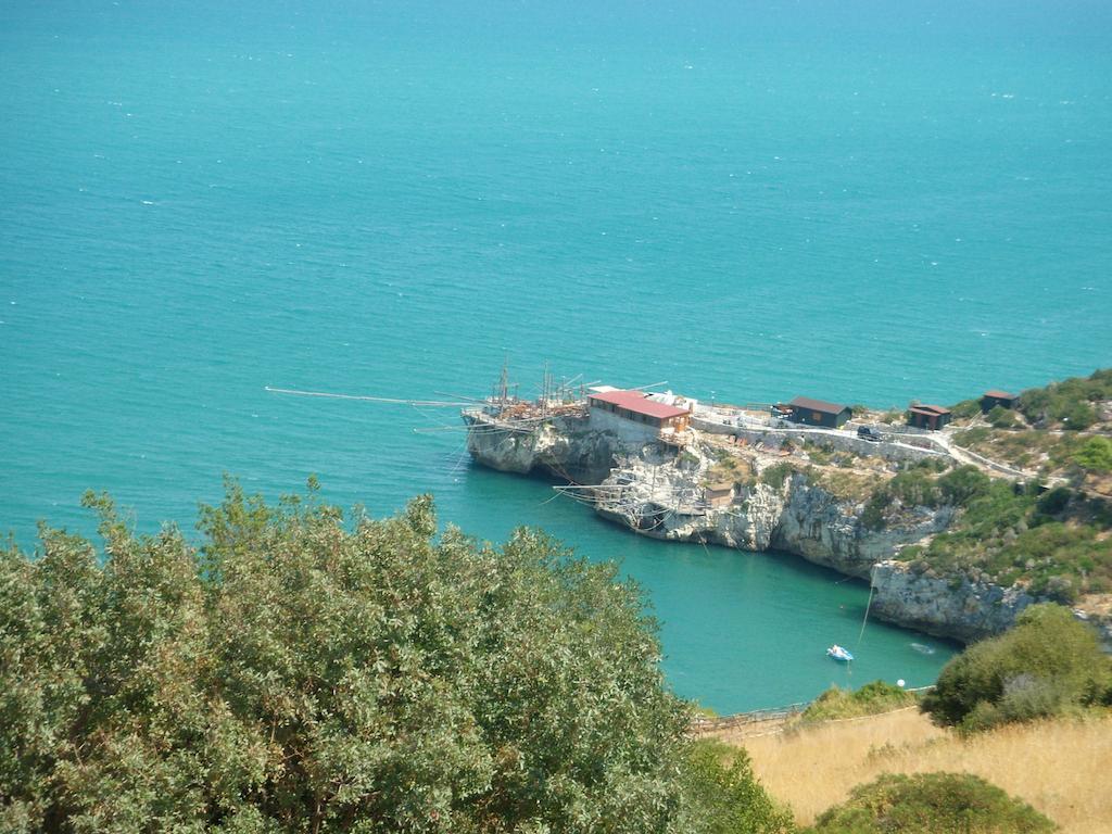 Hotel D'Amato Peschici Bagian luar foto